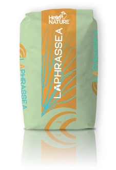 FLORA(フローラ) Flora