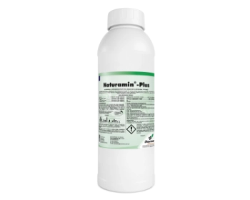 FLORA(フローラ) Flora