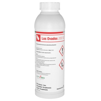 FLORA(フローラ) Flora